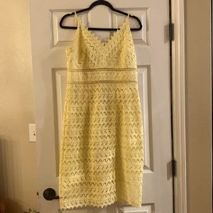 Lace overlay cocktail dress